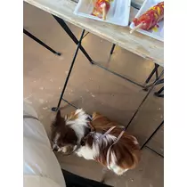 あいら