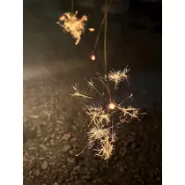 えみ