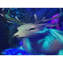 夏樹 あや