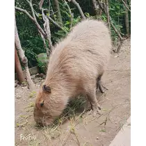 ちか