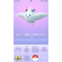 あみ