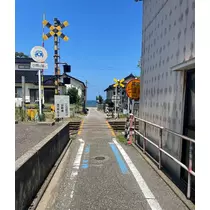 サヤ
