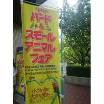 ちよママ