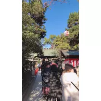 愛羽 仁美