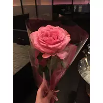 白石 愛莉