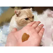あおい