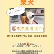 もも