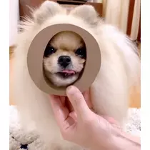 りょう