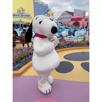 あいり