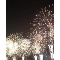 葵 みり
