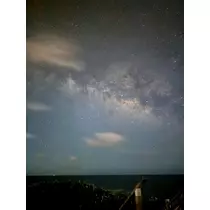 芹沢 莉瀬