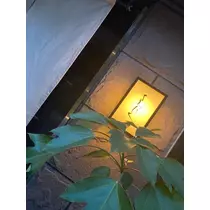 るい