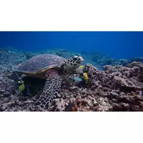 じゅん