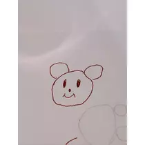 椿綺 楓