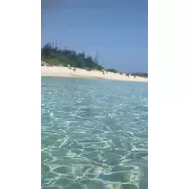 にーな