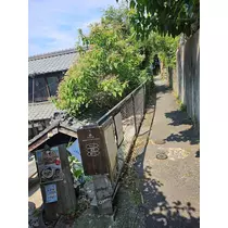 ゆり