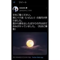ひな