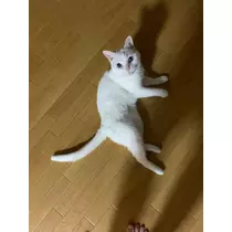 りおな