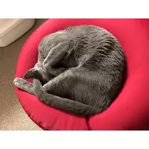 華