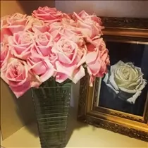 桃瀬 百華