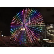 宝條 夏恋