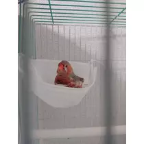 ちよママ