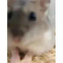 ゆな