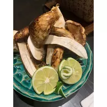 トモミ