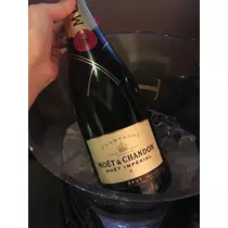 白石 愛莉
