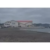 しおり