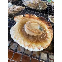 あんな