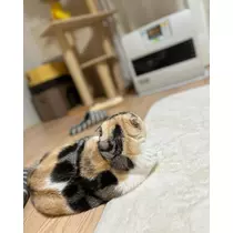 みつき
