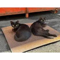 ほのか