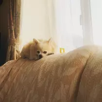 佑月 まゆ花