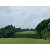 椿