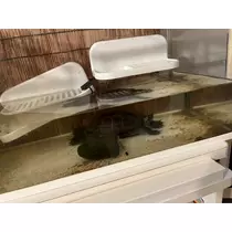 みずき