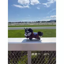 音澄 みすず