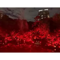 はづき