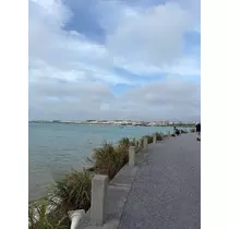 芹沢 莉瀬