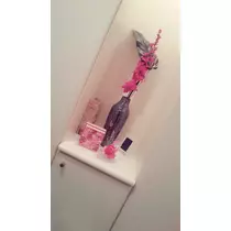 本城 椿