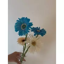 七海 結愛