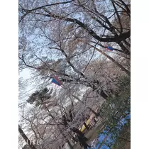ゆい