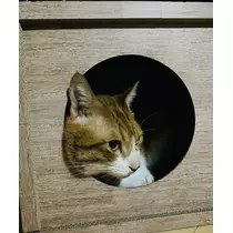 ほのか