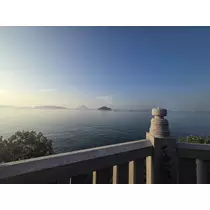 あおい