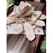 宝條 夏恋