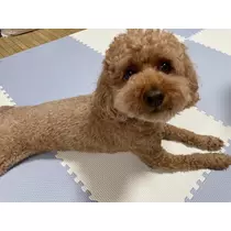 みり