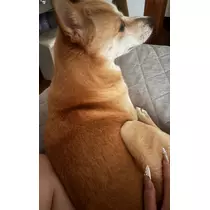 るい