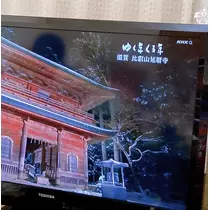 七星 夏純