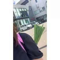 春風 ゆずな