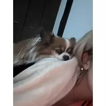 あいら
